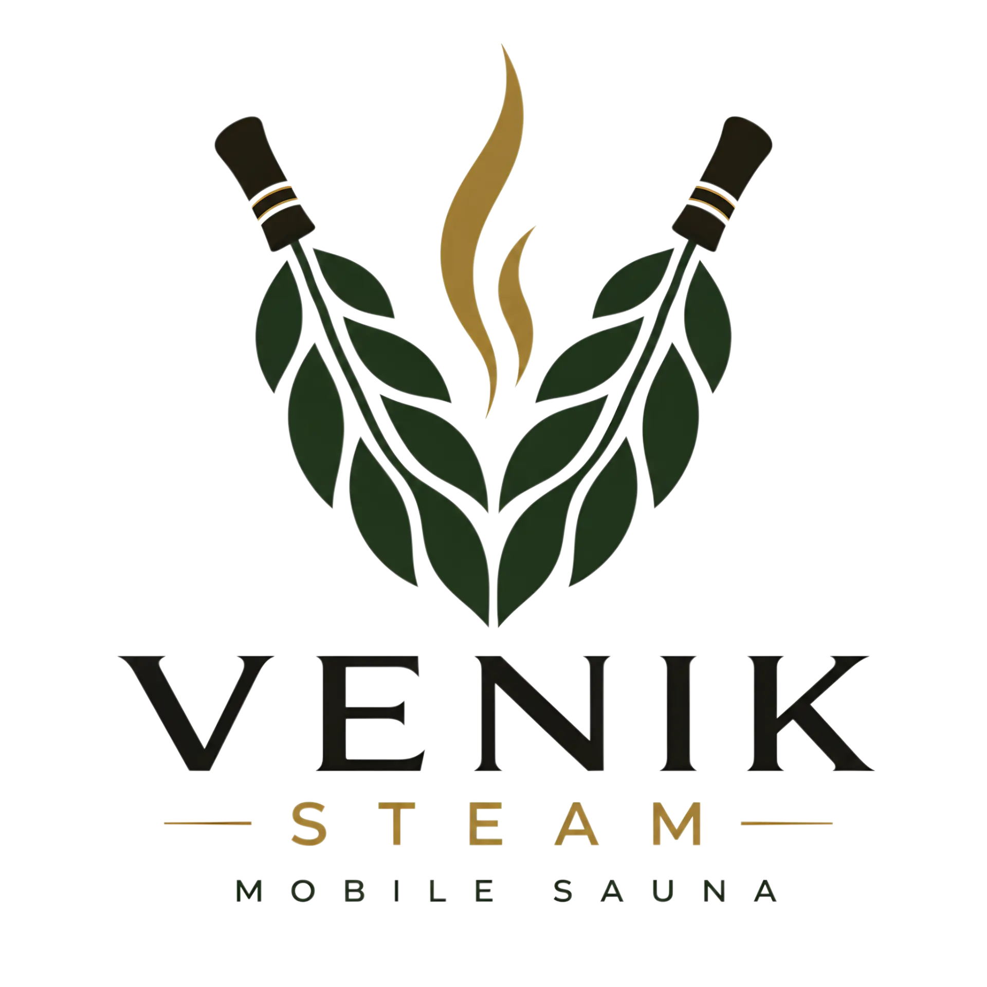 Venik Steam